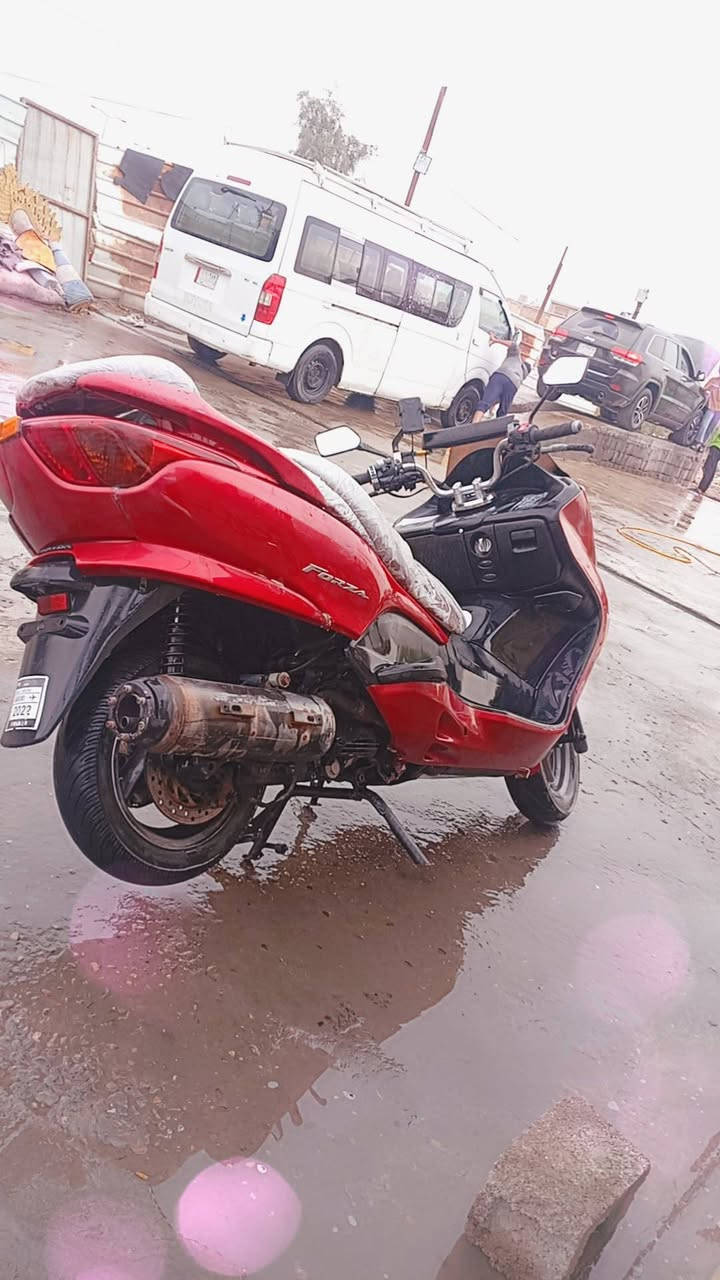 سلام عليكم فورزه صفر 8نضيفه جاهزه من كلشي تجي تنكر وتطلع وين ما تريد بكان الحسنيه مال راشديه رقمي ***********خابرني وتدلل
