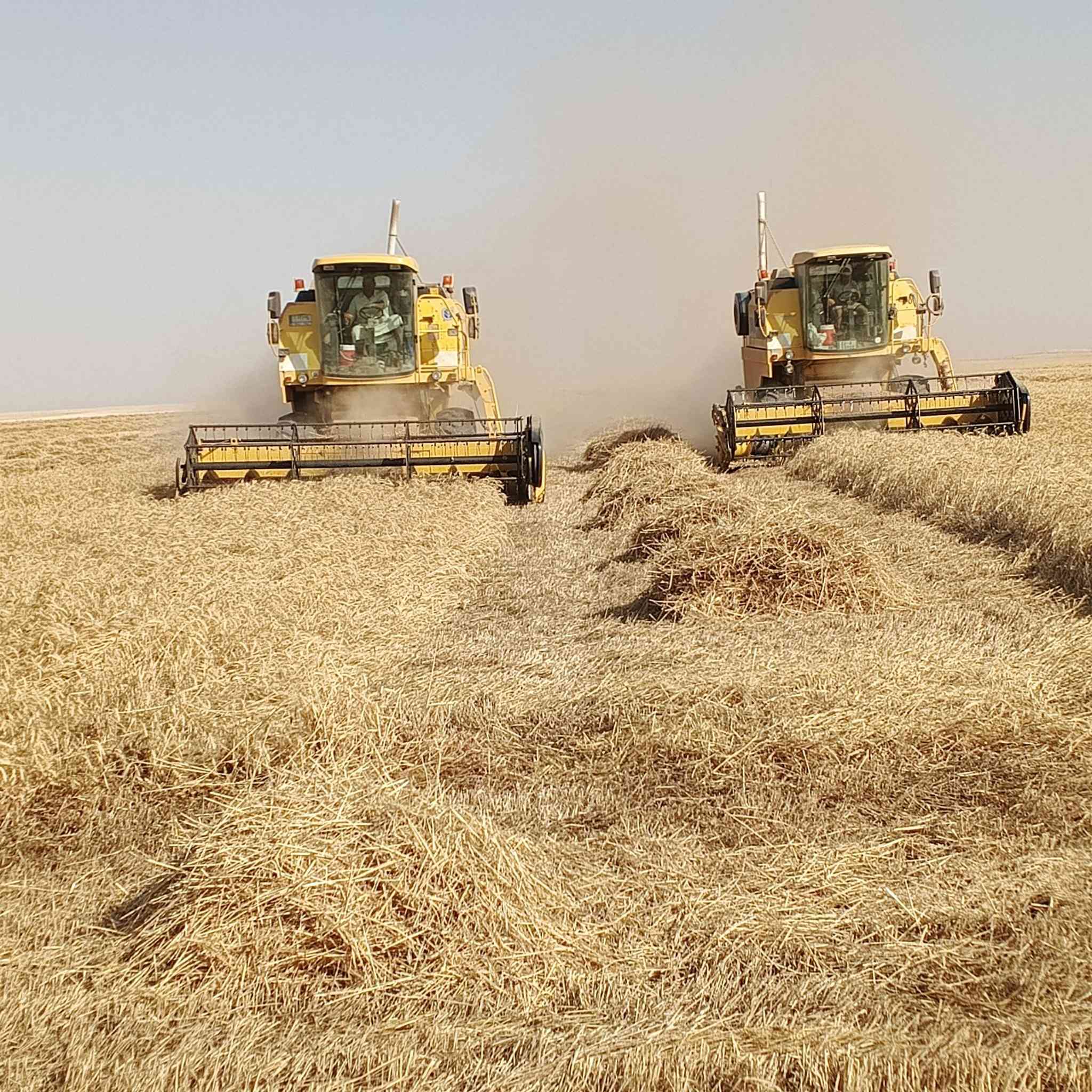 سلام عليكم ميكنه البيع موديل 2007 قايش
دكشن عالي بايزون مشتغله موسمين بل عراق مكينه نضيفه مكفوله كفاله عامه شرط الرقم ***********  رقم اربيل
