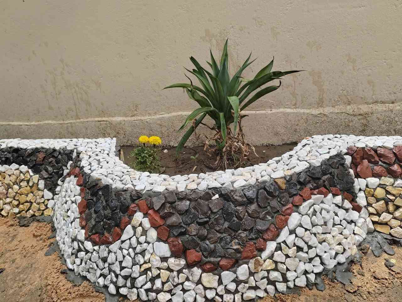 يوجد تنضيف حدائق وزرع الثيل الورد وأشجار الحمضيات ديكور  ***********
