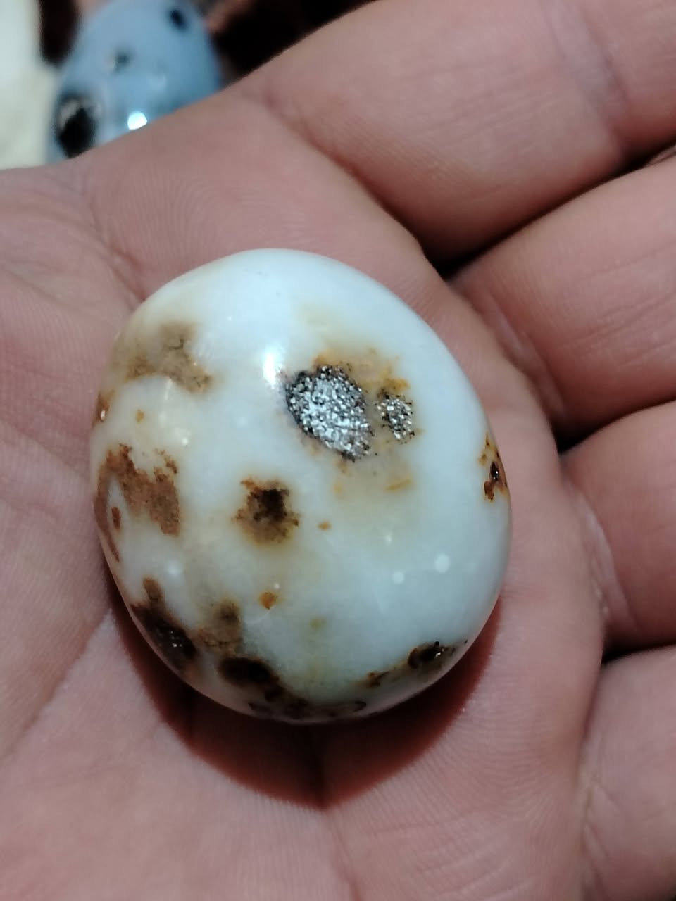 يمانية كبيرة مصورة 
نصف بيضة تقريبا 
25 الف


**إذا كنت صاحب هذا الإعلان وتريد حذفه لأي سبب، رجاءا أرسل رسالة إلى الدعم الفني**