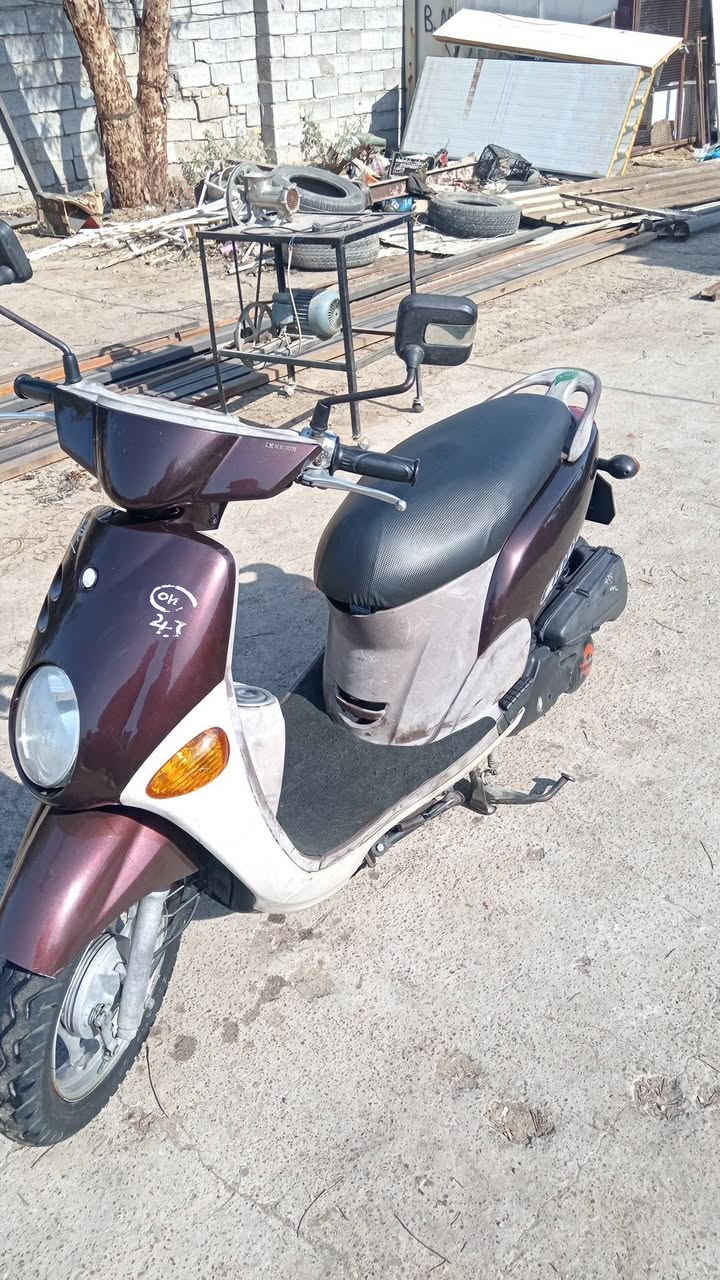 السلام عليكم فلة رمبه رمبه السعر 850 عنوان بغداد الحسينيه راشديه ***********
