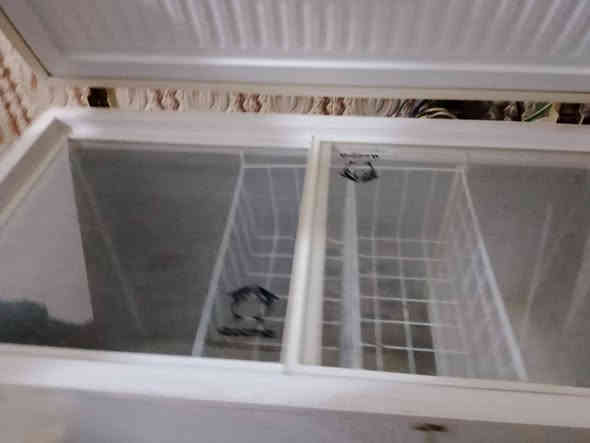 مجمده للبيع شغاله تجميد فول مكان النجف شارع 30 الحولي السعر 200 الاستفسار هذا رقمي ***********
