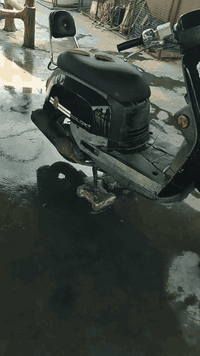 سلام عليكم 
دراجه بوليس 2007 مفتوحه مره وحده  نضيفه الدراجه ناعمه شلعه كهربائيت كله شغاله حلو الدراجه مكاني كربلاء حي الغدير السعر ٦٥٠

***********
