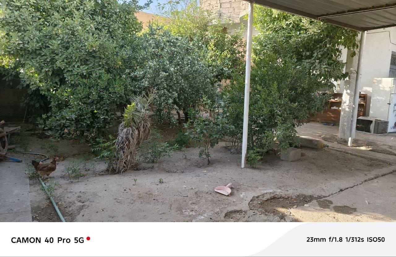 بيت للبيع مساحة 800 مع غرفة استقبال وغرفتان نوم ومطبخ وحديقتان وقطعة خلف البيت الموقع دائرة الكهرباء حي الوحده للاستفسار على الرقم ***********
