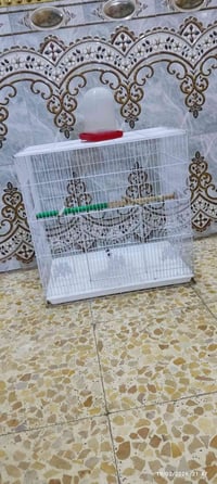 قفص كبير • جديد