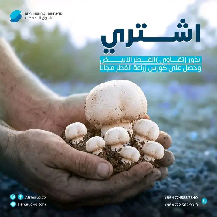 ✅محلات هيثم للخدمات الزراعية ✅

✅متوفر بذور الفطر ✅

#اسعار_مناسبة_جدا_جدا

#متوفر_جملة_مفرد

✅العنوان الجدعة الشارع العام مقابل مجمع جنة الأسعار محلات هيثم للخدمات الزراعية ***********
