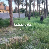 السوامرة بعقوبة • ١١٠م • طابو زراعي