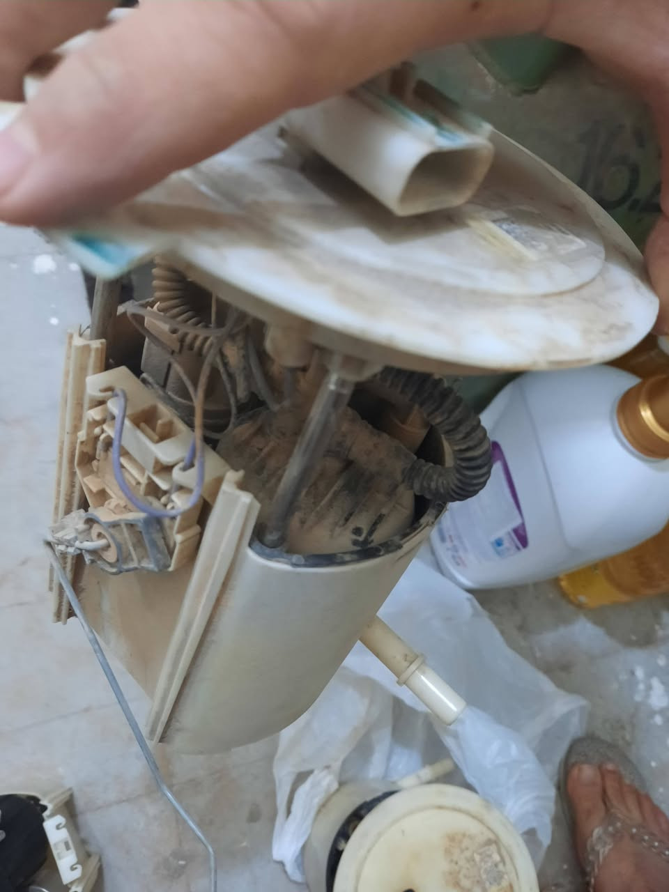 السلام عليكم
غراض جيب ٢٠١٤ خليجي
بنيد + قاعدة فيتبم كاملة
***********
