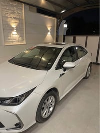 كورلا خليجي • ٢٠٢٤ • كركوك