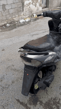 ماكس • نظيفه • بصرة جمهوريه