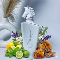 بغداد • البصرة • السليمانية