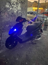 سكنس فحل للبيع بيه جهاز إنذار حديث  بيه اقباغه مال كور رياضي بيه عضمه ...