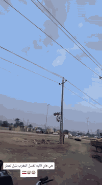 شاصيه١٧ • اوراق سكنر • كله جديده