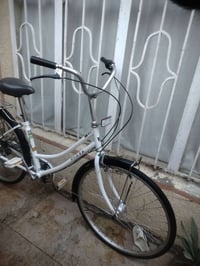 باسكل بطه ياباني • موديل ٢٠٢٠ • حجم ٢٦