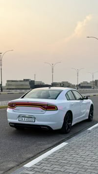 تشارجر SXT • ٢٠١٨ • رقم بصره