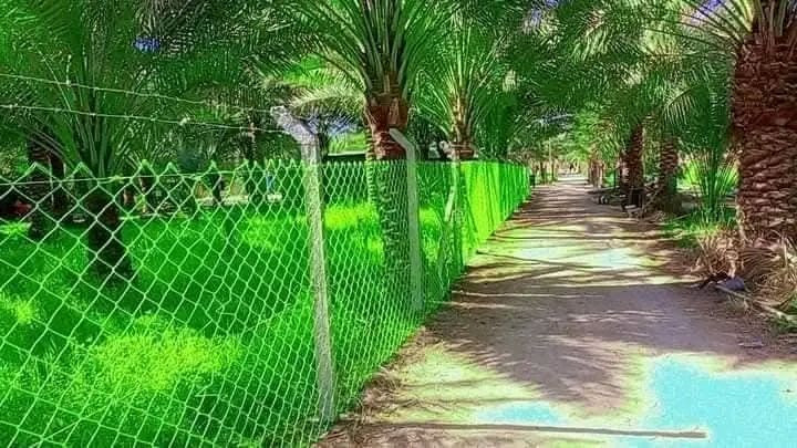 عمل ونصب اسيجه البيارسي بأنواعه الاسعار حسب نوعيه سمك السيم نعمل في جميع محافظات العراق للاستفسار الاتصال
واتساب***********.
