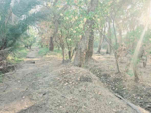 يالله أللهم صل على محمد وأل محمد 

للبيع قطعة  500 متر  طابو زراعي تحويل سهم 

العنوان كربلاء الحسينية قرب جسر الابراهيمية 

تبعد عن شارع الزوار  200 متر وعن جسر الابراهيمية 500 متر 

وعن مركز المدينة 15 كيلو 

تتوفر كافة الخدمات مي سقي سيح مي اساله 

#السعر   75  مليون مع المجال للجاد بالشراء 

للاستفسار اكثر اتصلوا بالارقام التالية 

(  ***********  )(  ***********  )

ابو فاطمة عنوان المكتب قرب جسر الابراهيمية 

عل سايد الخدمي مقابل شارع عون مكتب النافعي للعقارات كربلاء  النافعي للعقار  @أبرز المعجبين
