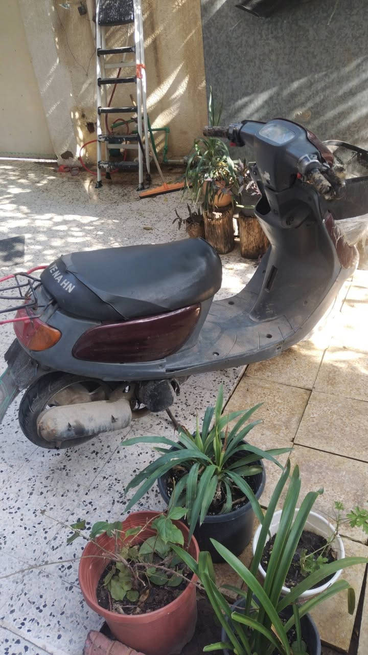 السلام عليكم
بزون نفخ شغال  مال روحه وجيه  شاصي شرط ما بي شي  ماطور مال روحه وجيه سعرو 150 من الخير تايراتو جديده   ما متواجد. عل فيس الاتصال ***********
