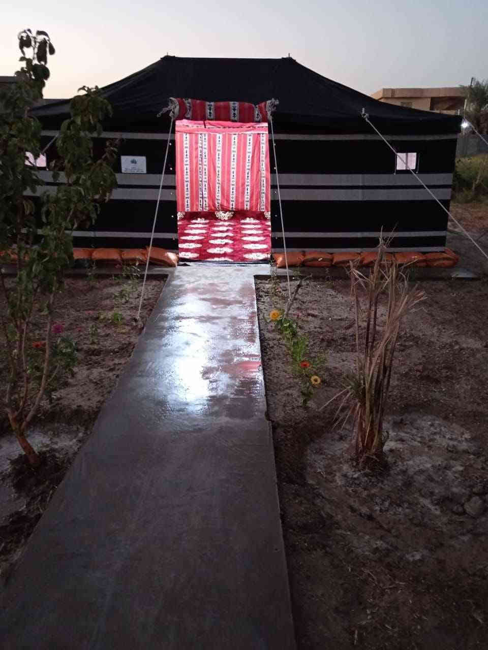 خيم لليجار والبيع أماكن تخيم سفوان جبل سنام البر بصيه القضى نقل ونصب الخيم البصره سفوان ت***********+***********
