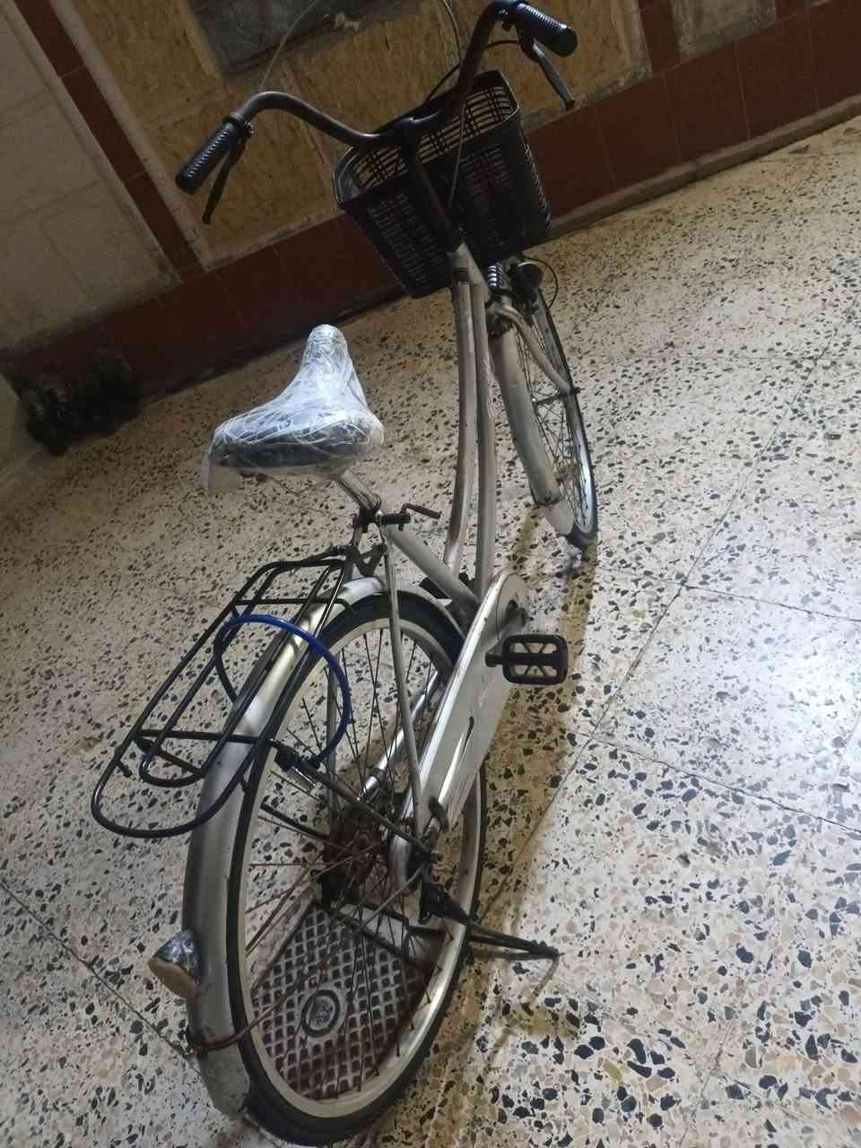 السلام عليكم باسكل نضيف سعر 60 بي! مجال رقم الهاتف ***********
