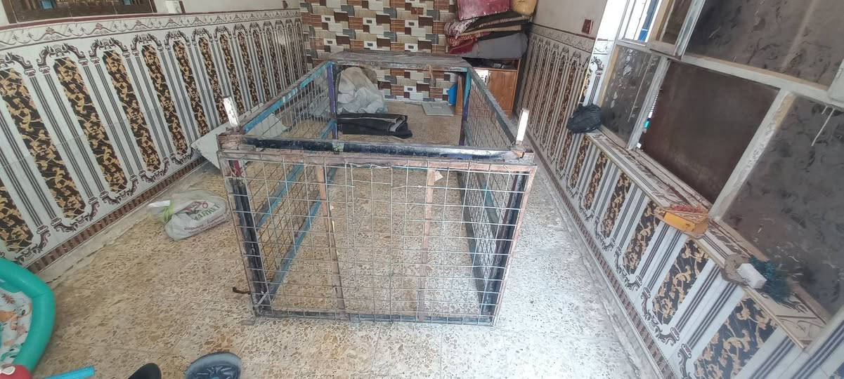 *********** البيع
