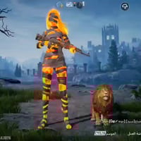 حساب ببجي • مستوى ٧٧ • ديوانيه