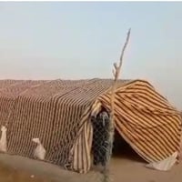 مرجوحة • ٧ شبات • قماش