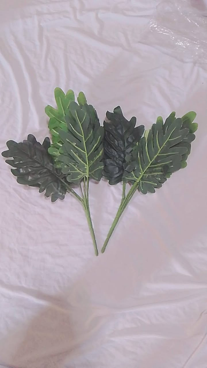 مجموعه زهور ١٠ الاف


**إذا كنت صاحب هذا الإعلان وتريد حذفه لأي سبب، رجاءا أرسل رسالة إلى الدعم الفني**