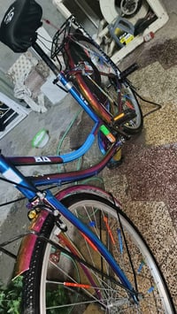 باسكل بناتي • ٧ ألوان • مراوس