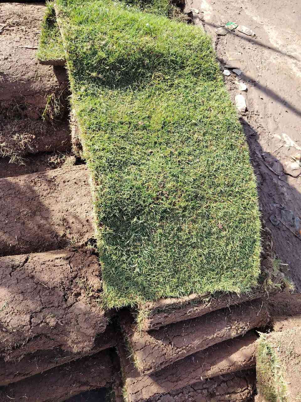 سلام عليكم
متوفر ثيل هندي


**إذا كنت صاحب هذا الإعلان وتريد حذفه لأي سبب، رجاءا أرسل رسالة إلى الدعم الفني**