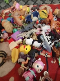 حيوانات • نواعم • سعر خاص