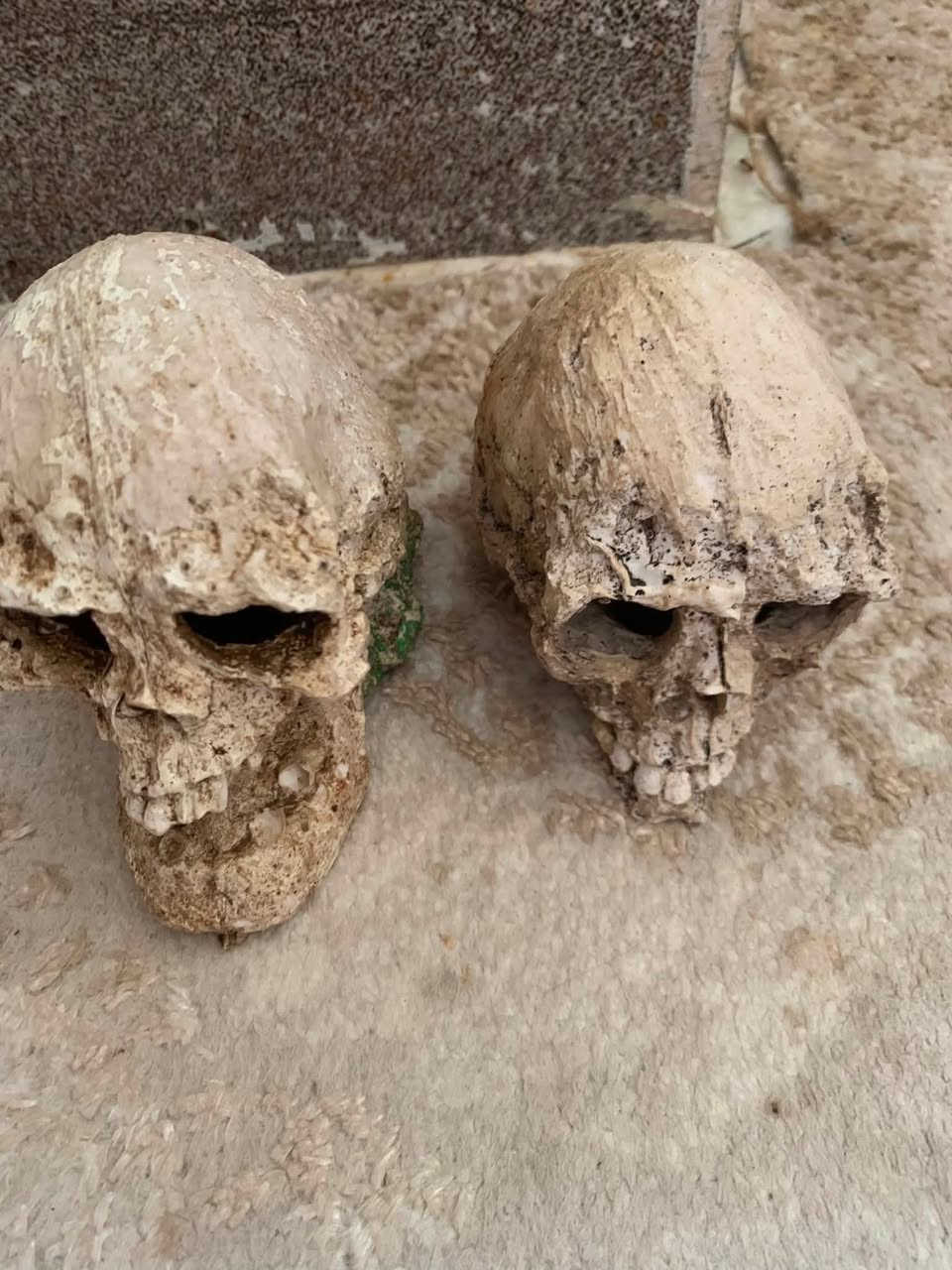 سڵاو هاوڕێیان ئەم ئەشیانەم هەیە هی ناو حەوزی ماسیە لەگەل ئەو ئۆکسجینی ئاوە هەمووی ئەفرۆشم بە ١٥ هەزار بەس ئۆکسجینەکە لە بازاڕ بە ١٥یە من هەمووی دەدەم بە ١٥ ناونیشانم سلێمانیە.


**إذا كنت صاحب هذا الإعلان وتريد حذفه لأي سبب، رجاءا أرسل رسالة إلى الدعم الفني**