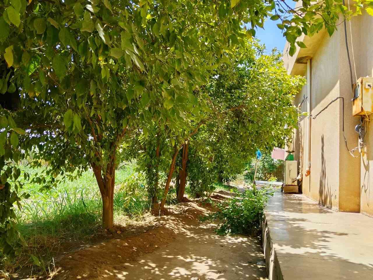 السلام عليكم بستان للبيع 5 دونم طابو مع دار سكن مساحة واسعة نص دونم ماء اساله ومي قطاس كهرباء خير من الله كلشي جاهز اديالى منصورية الجبل قريب على دلي عباس ومنصورية الجبل البستان مسيج كامل يسقي سيح بي نخل الوان ***********
سعر 135 مليون

