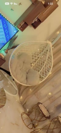 كراسي • ١٢٥ جديدة