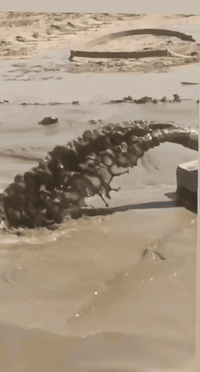 مستعدون لحفر الابار اليدوية والالية الخاصة بالمنازل والحدائق يوجد حفر ...