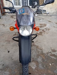 بوكسر جبلي • ١٥٠ • ٢٠٢٣