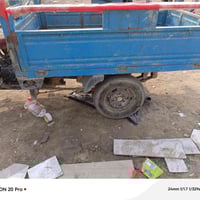 ستوته صقر • موديل 21 • كحلاء