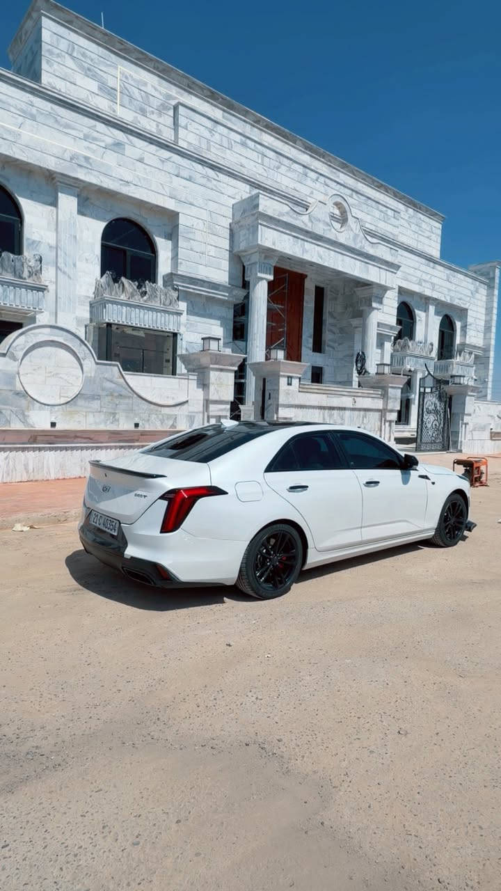 CT42021  كديلاك
داخل بيجي 

لون ابيض 

السياره فتحه 

قطعه صبغ فقط 

ماشيه 66 الف كيلو 

رقم شمالي سعر228

***********

للبيع او مراوس
