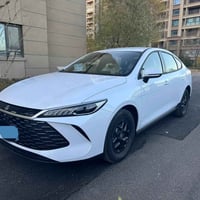 بايد ٢٠٢٥ • سليمانية • أقل من السوق