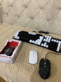 شلعة أول • حالة ممتازة • ١٠/١٠