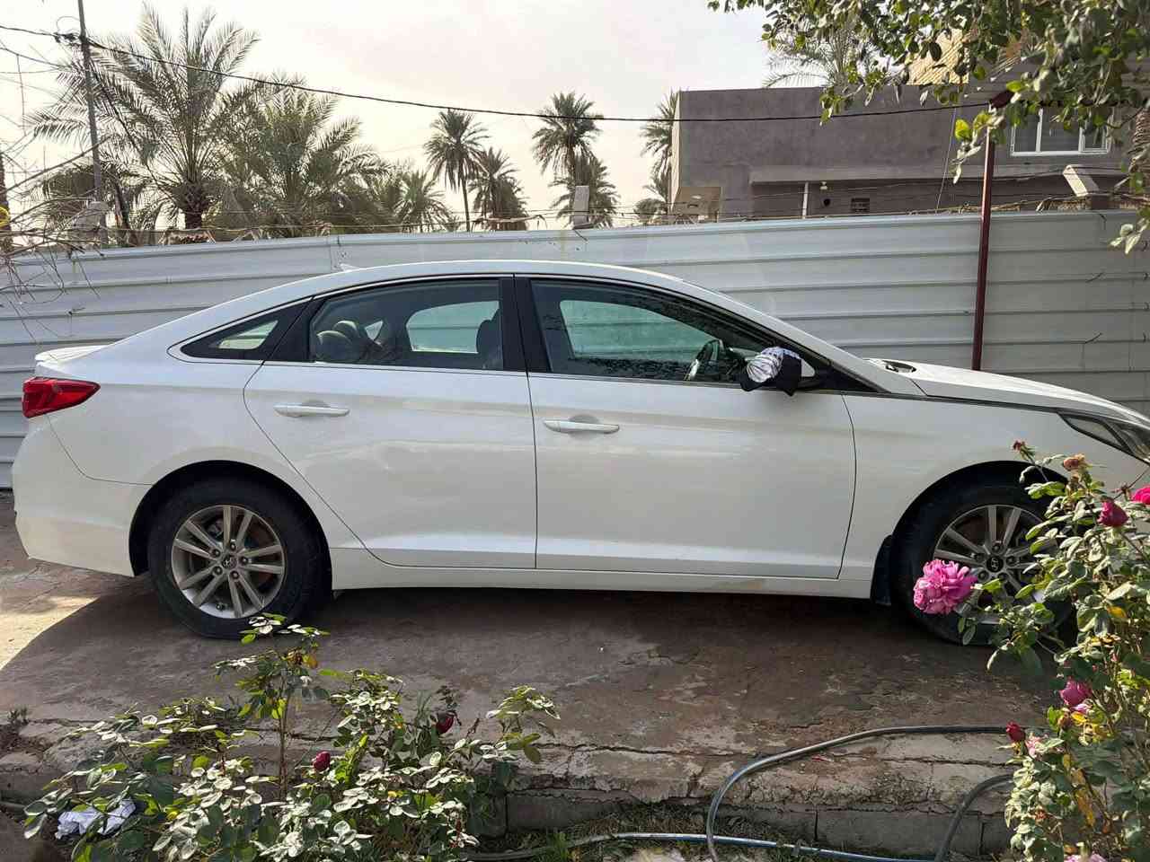 سوناته 2017 مكينه 1600 تيربو حادث امريكا جاملغ وبنيل ككير مكينه مكفولات حداديه + كهربائيات السياره كلهه شغاله مال جناي + متوازي عله بيعتهه 115$ قفل قفل مكاني بابل *********** المحاويل, بابل
