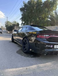 جارجر سكات • ٢٠١٦ • رقم اربيل