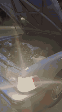 السلام عليكم اخوان سيدان موديل 90ايسر بلاد محرك وگير واكسن شرط كهربائيات وحداديه وتخم تاير وغرفه ودشبول وجنطه مغلفه بلاد  وشاشه وباتري شرط كله جديد نضافه 100/100سياره مصبوغه جماله فرن فقط بدون ضربه سابقاً قماره بلاد سياره علا وضع الشركه تبريد شغال 100/100سياره مابيها نقص برغي ترايك وين ماتريد نصبتها وشكلها احلا من الصوره مشروع وطني باسمي تداور وين ماتريد سنويه 2027السعر 65وبيها مجال لشراي بيع او مراوس بسياره اقل من عدها اخوان رجأن المايعرف قيمتها لا يتصل 

شراي يتصل ويدلل ***********
