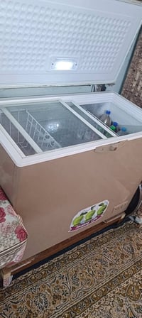 مجمدة • نص تجميد • سعر مناسب