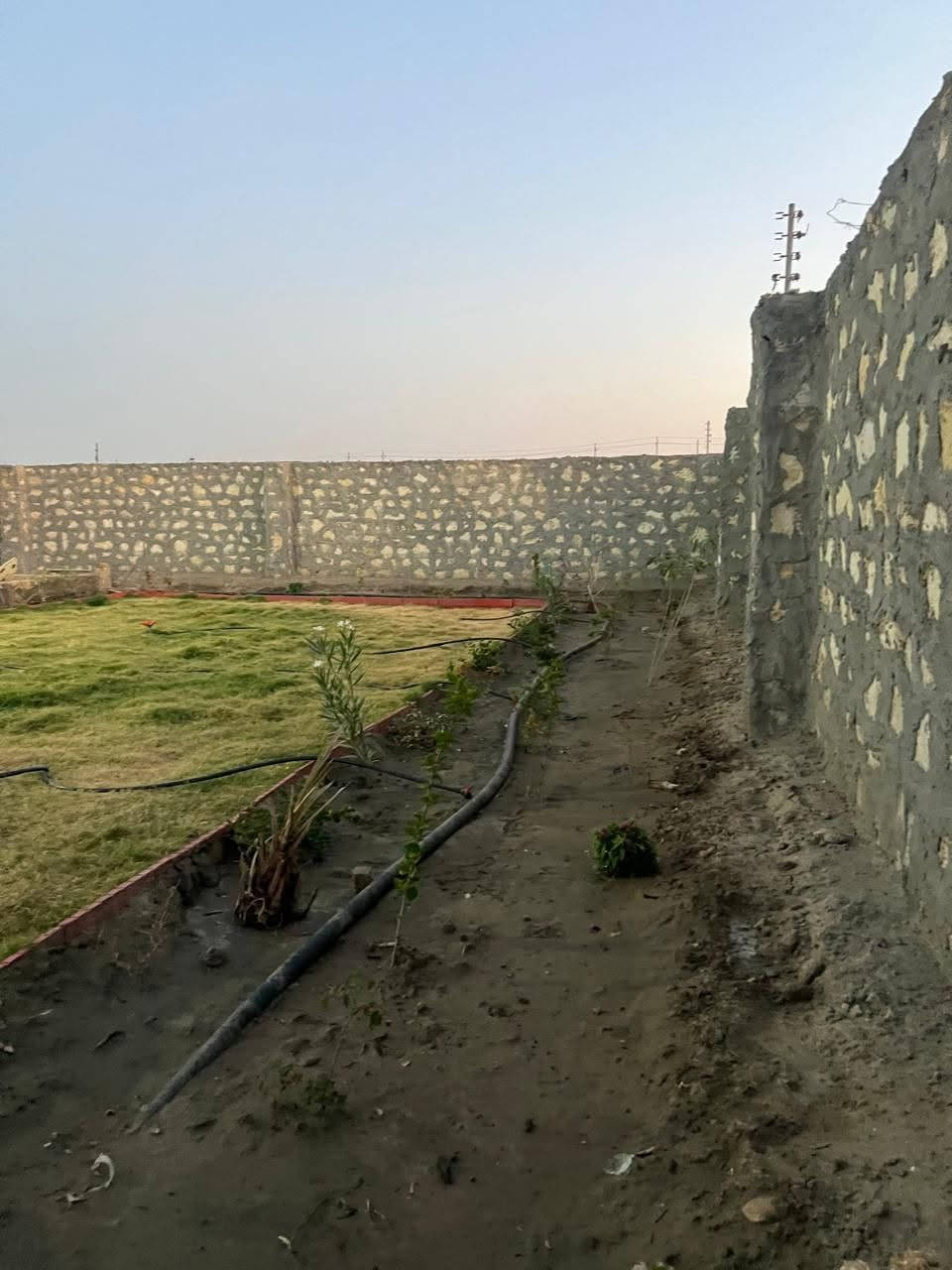 �🏡 فرصة مميزة للبيع – مزرعة مع دار سكني مؤثث في الديوانية / شعيب 🏡🌴

إذا كنت تبحث عن منزل جاهز للسكن وسط أجواء طبيعية هادئة ومساحات خضراء جميلة، فهذه فرصة مميزة تجمع بين الراحة والاستثمار.

📍 الموقع: الديوانية – منطقة شعيب.
📍 تبعد عن الشارع العام حوالي 70 متر فقط (ثاني قطعة).

🔹 المساحة:الف و 100 متر.

🏡 دار سكني مؤثث بالكامل بمساحة 210 م² ويضم:
✅ 4 غرف نوم.
✅ صالتين واسعتين.
✅ مطبخ.
✅ حمامين.
✅ أثاث كامل وجاهز للسكن مباشرة.

⚡💧 الخدمات المتوفرة:
✅ كهرباء.
✅ ماء إسالة.
✅ خزان ماء (خرّان) سعة 5000 لتر.

🌴 المزرعة مزروعة وتضم:
✔️ 22 نخلة مثمرة.
✔️ أشجار زينة متنوعة.
✔️ ورود وثيل أخضر.
✔️ أشجار فاكهة متنوعة (تين، عنب، رمان).

🧱 مسيّجة بالكامل بسياج حجري متين يوفر الخصوصية والأمان ويضفي مظهراً جميلاً على العقار.

✨ موقع هادئ ومميز، يجمع بين السكن المريح والطبيعة الخضراء، ومناسب للاستثمار أو للاستجمام العائلي.

💰 السعر: مراسلة الصفحة على الخاص.

📞 للجادين فقط، والمعاينة خير دليل.

🌴 دار مؤثث بالكامل، خدمات متكاملة، سياج حجري، نخيل وأشجار مثمرة، وموقع مميز قرب الشارع العام… فرصة تستحق الاهتمام


**إذا كنت صاحب هذا الإعلان وتريد حذفه لأي سبب، رجاءا أرسل رسالة إلى الدعم الفني**