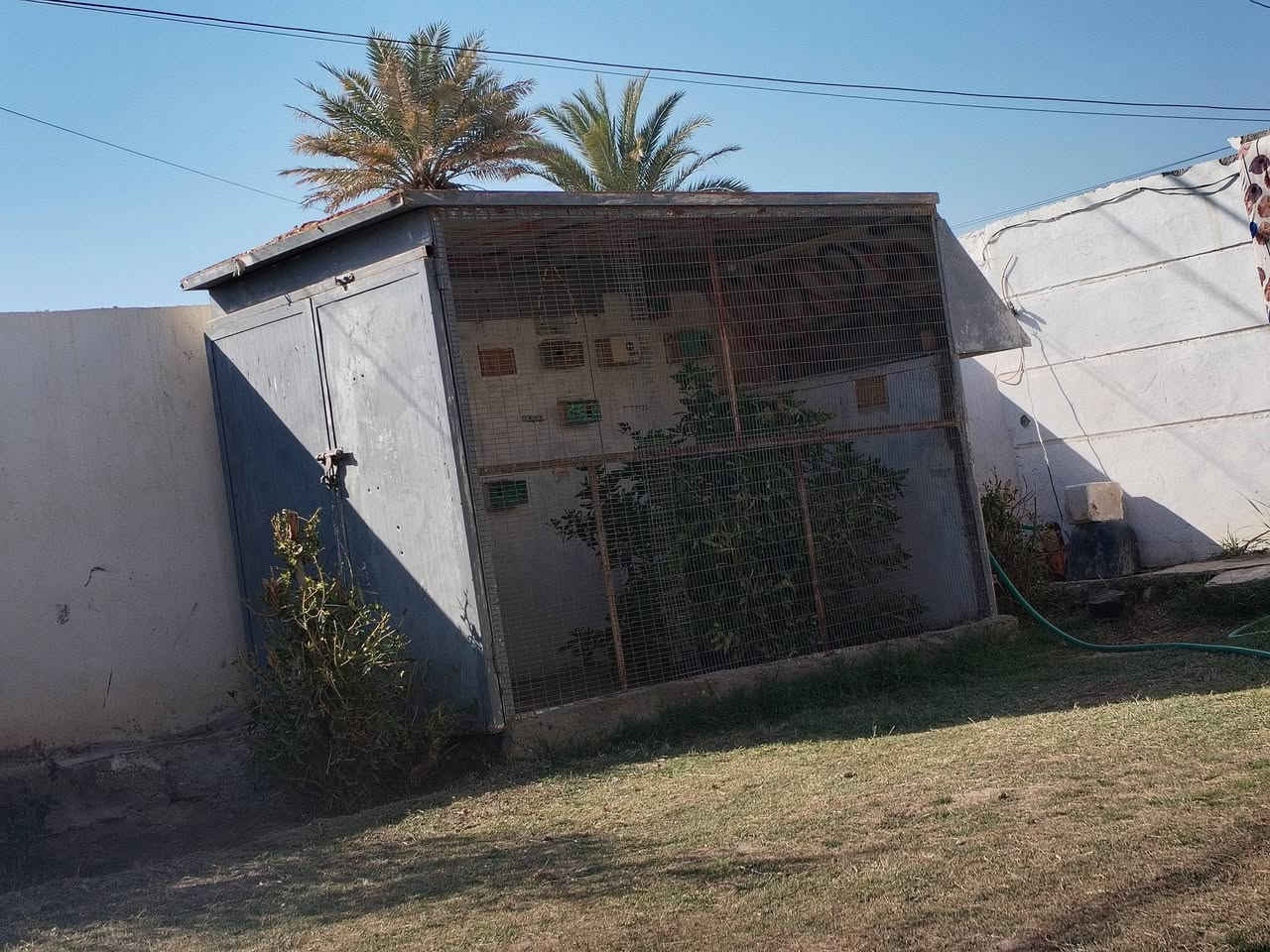 قفص للبيع تلاثه في ثنين قفص درجه اوله كلشي يرهم انواع الطيور حته مخزن يرهم لهل لمحلات***********سعر خابر وتدلل
