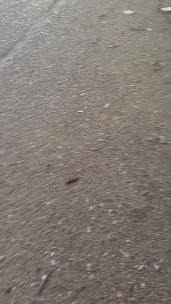 ثلاجات بمختلف الحجام مع مبردات مع برادات ماء مع كاونترات كل حاجة وسعرها الزعفرانية الاربع شوارع قرب داءرة المجاري قرب اسواق احمدقرب مولدة محمد***********
