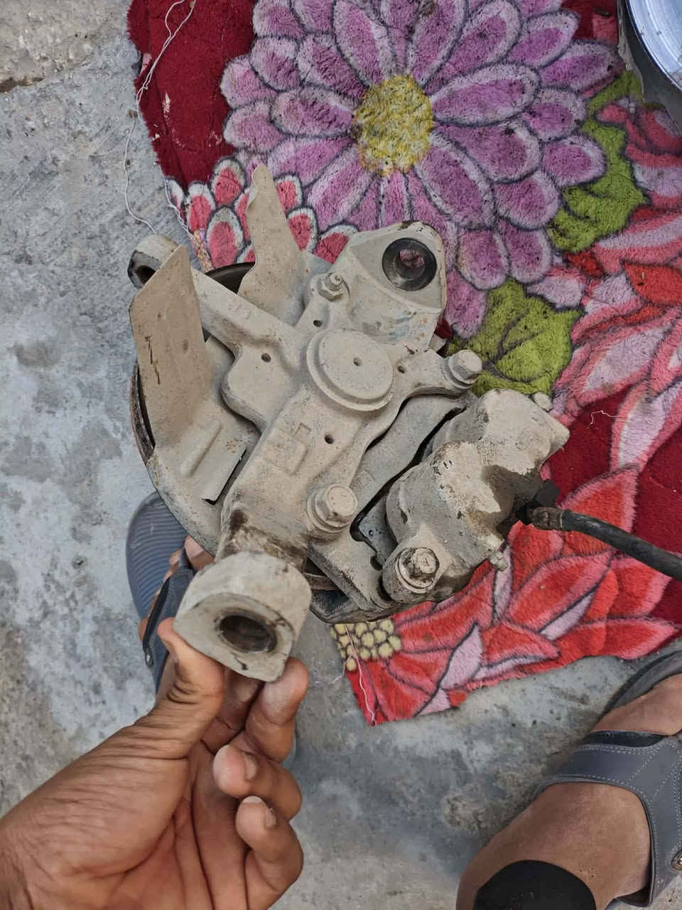 زوج اصطاب اكسنات مال ابريجو ٢٠٠ للبيع
مكان بابل قرب جسر نادر مكلف بل نشر 
السعر 100. ***********
