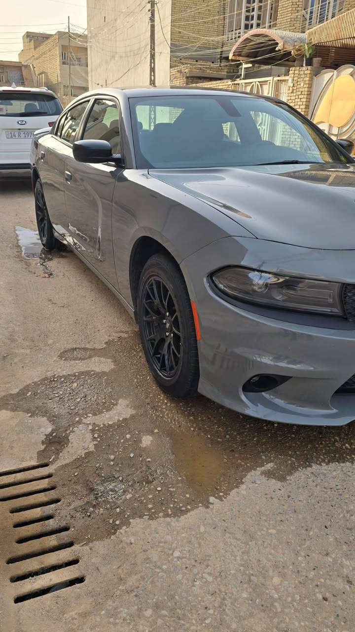 جارجر 2023حادث موضح بل صور سياره اجت من امريكا بيهه رشه كلير بل11 صفحه السياره 6سلندر سياره جاهزه  من طول ل طول برغي ما ناقص  سياره سعر 185 بيهه مجال قليل تحويل ثاني يوم سياره بيع بدون مراوس  رقم***********

