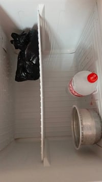 للبيع ثلاجه نظيفة حيل وانطيها بل شرط تجميد فوك وجوه الشراي بي خير ويدل...